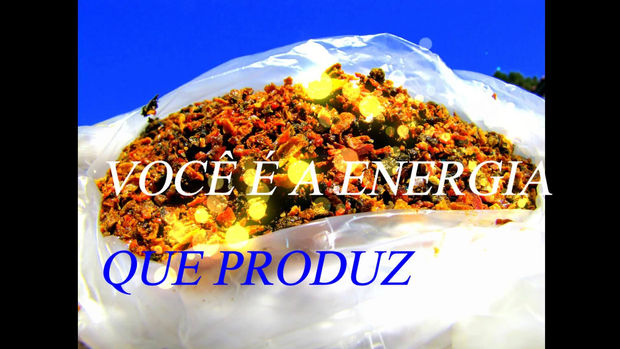PRÓPOLIS!